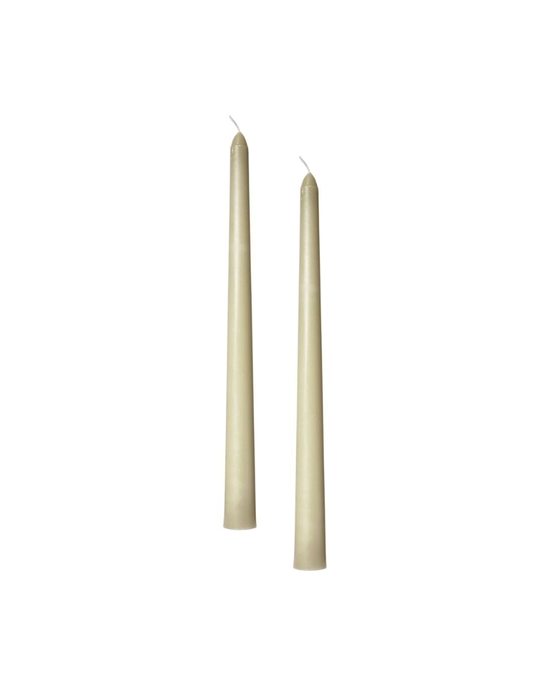 Taper Candle Set in Sage