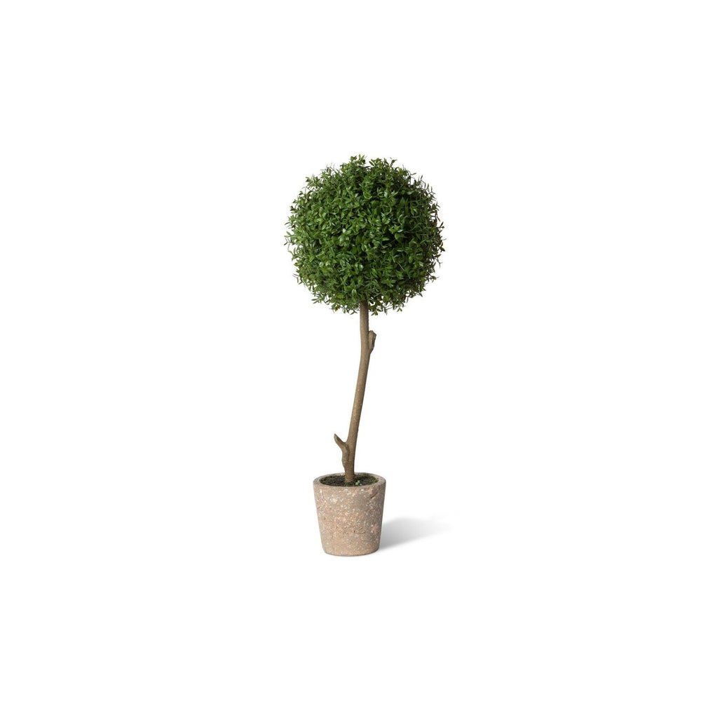 Thyme Ball Topiary- Medium