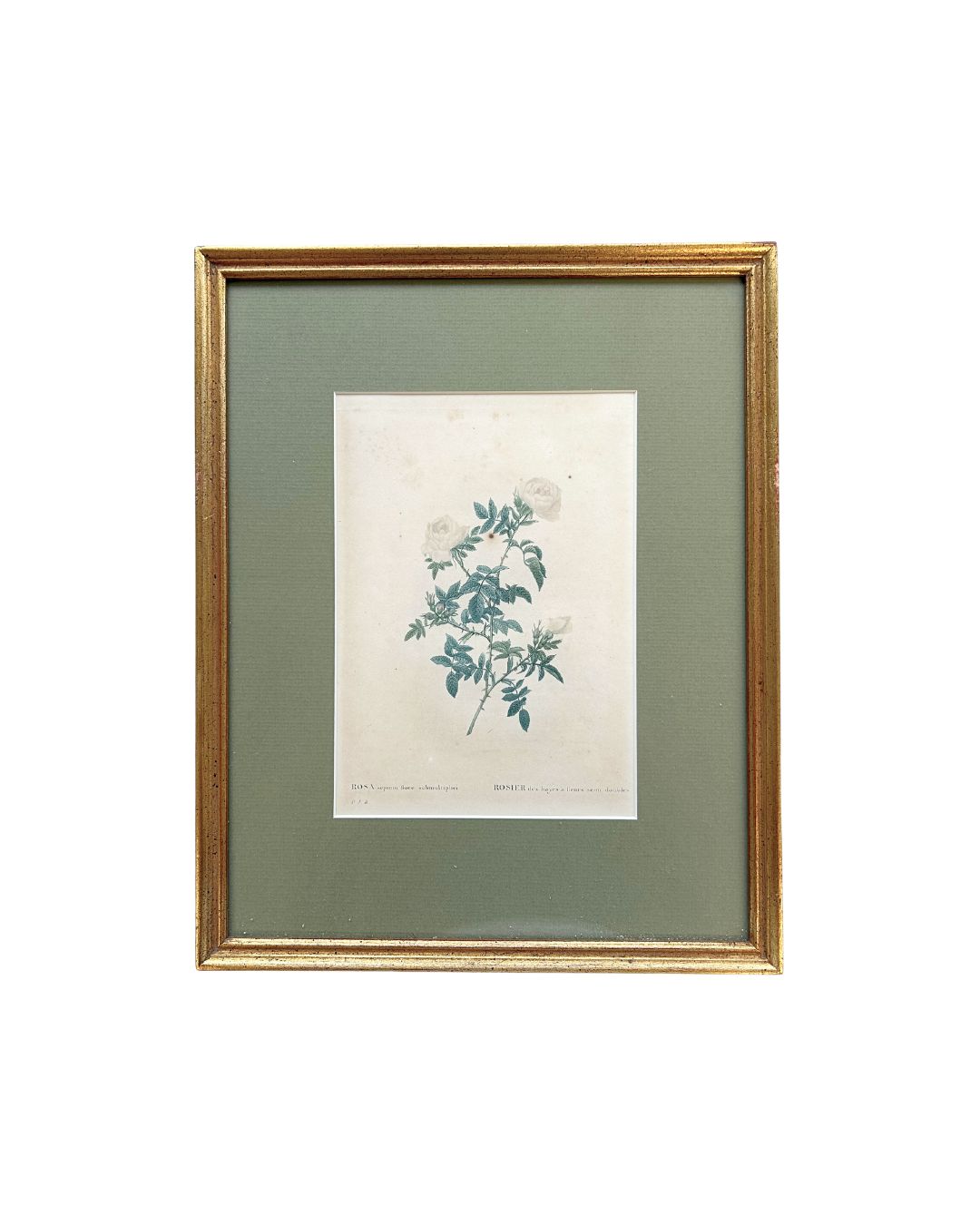 Vintage Rosette Art II