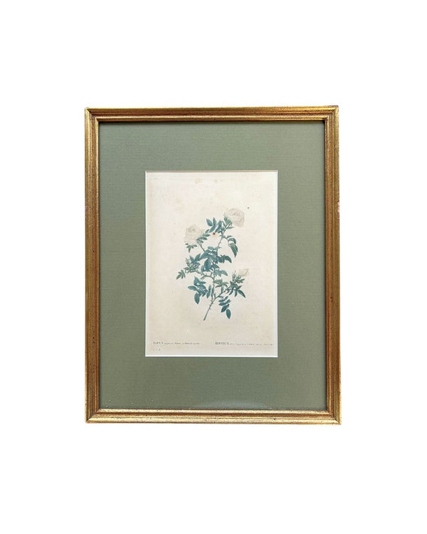 Vintage Rosette Art II