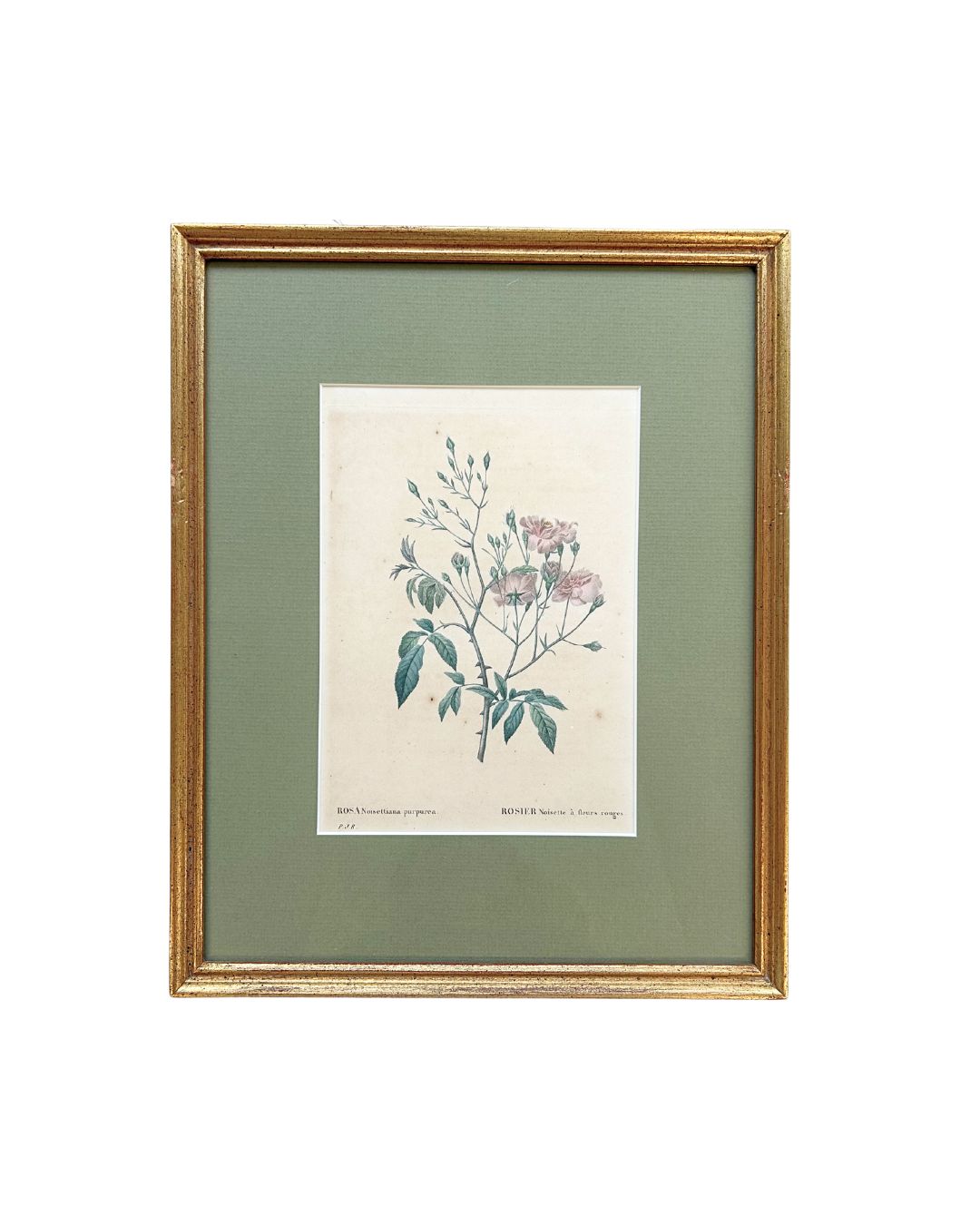 Vintage Rosette Art III