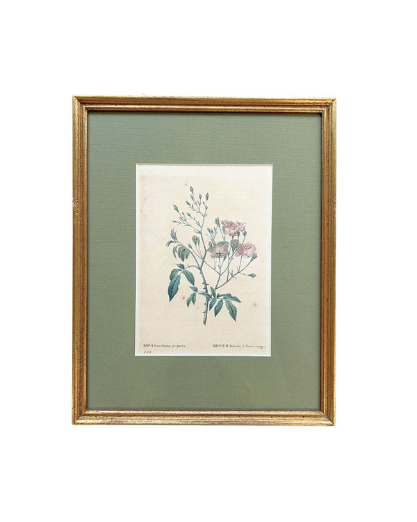 Vintage Rosette Art III