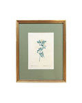 Vintage Rosette Art V