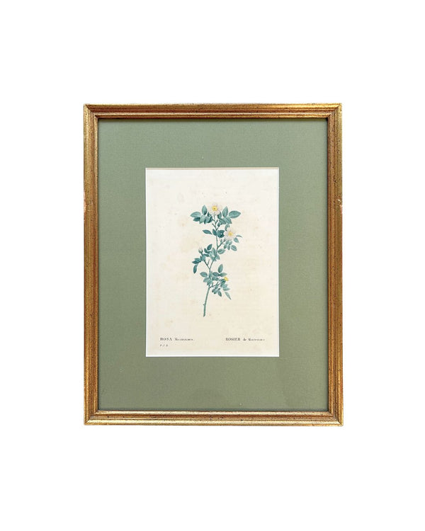 Vintage Rosette Art V