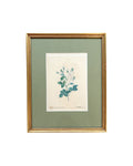 Vintage Rosette Art VI