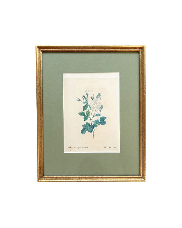 Vintage Rosette Art VI