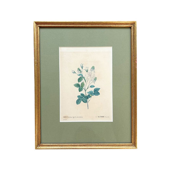 Vintage Rosette Art VI