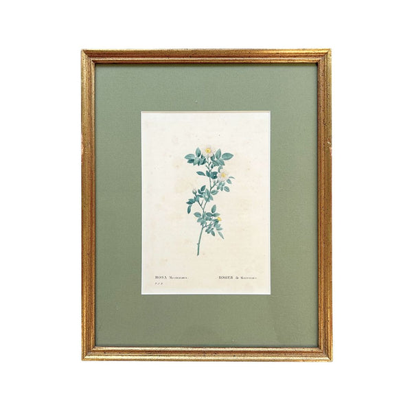 Vintage Rosette Art V