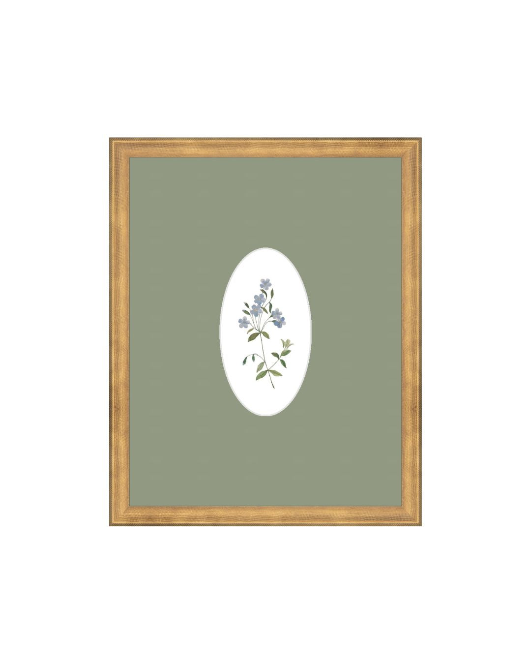 Wildflower Botanical I