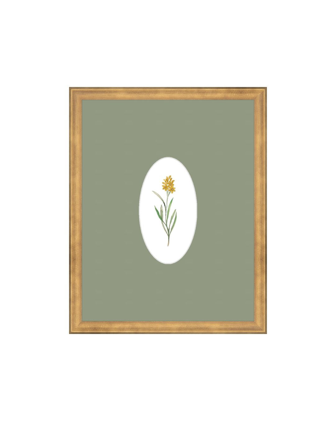 Wildflower Botanical III