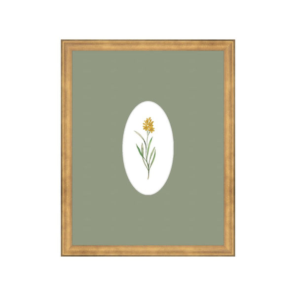 Wildflower Botanical III