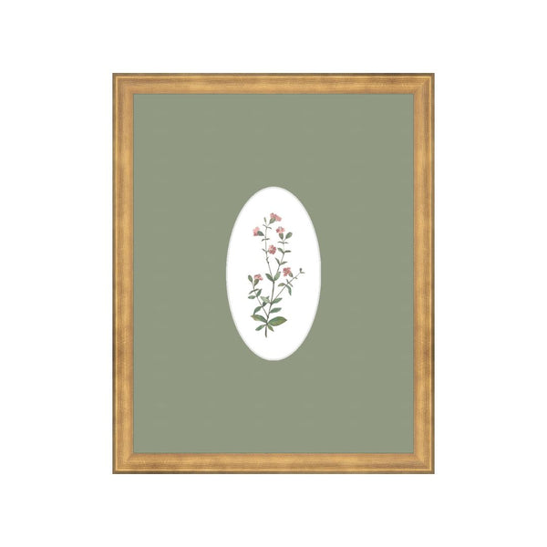 Wildflower Botanical II