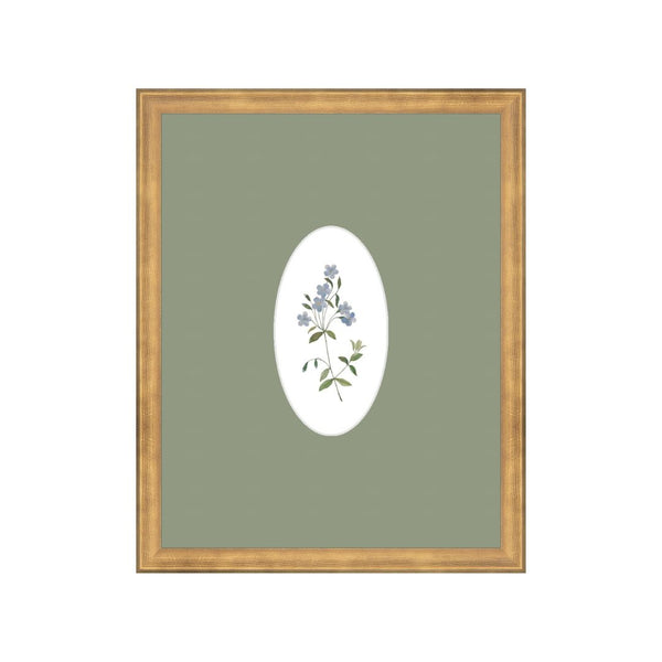 Wildflower Botanical I