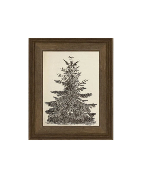 Winter Solstice Tree