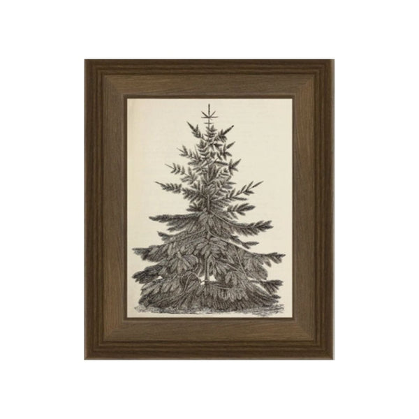 Winter Solstice Tree