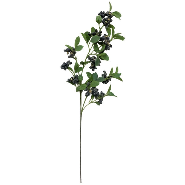 Winterberry Stem