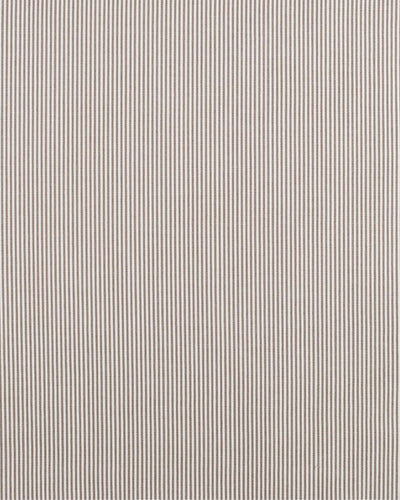 Latte Hayden Pinstripe