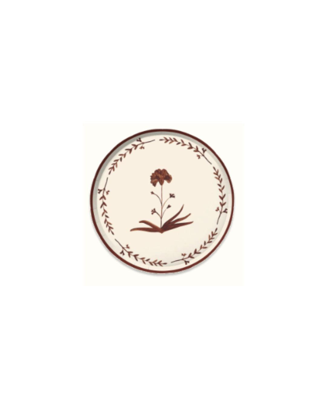 Primrose Dessert Paper Plate, Set of 12