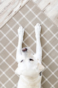 Windowpane Rug in Beige