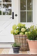 Large Scalloped Flower Pot