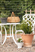 Large Scalloped Flower Pot