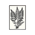 Black and Natural Fern Print II