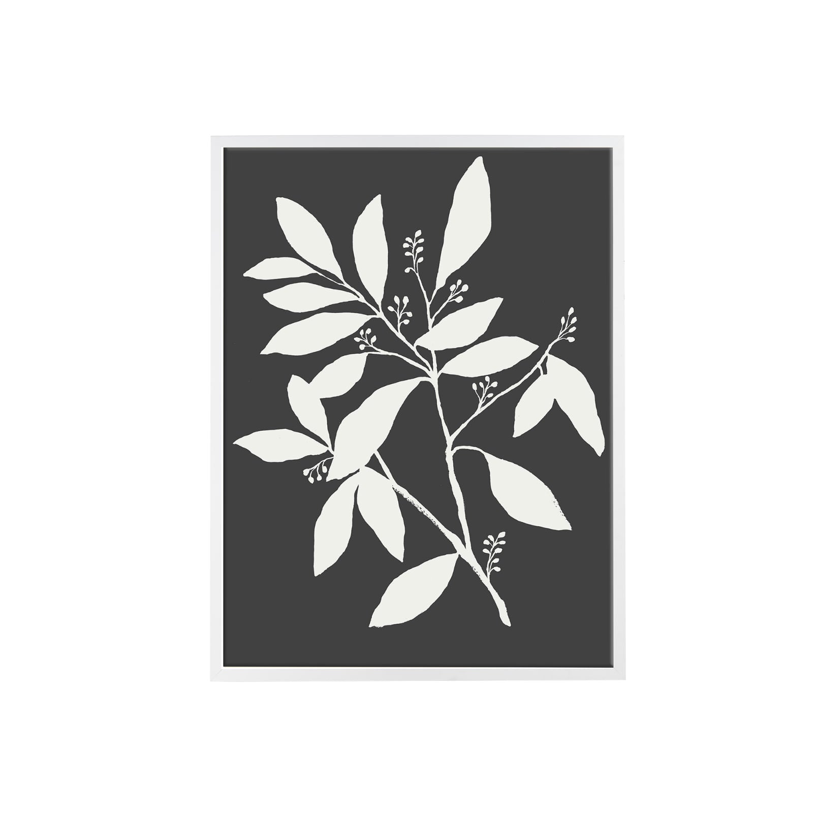 Black and White Eucalyptus II Art no. 1