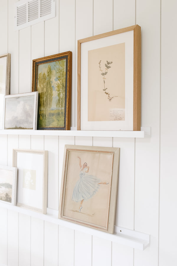 Framed Vintage Botanical XXXII