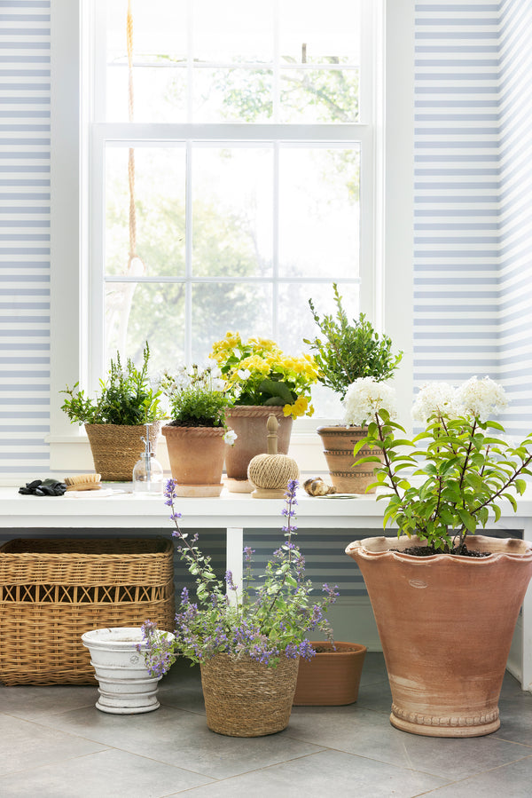 Large Scalloped Flower Pot