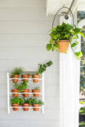 Hanging Terracotta Planter