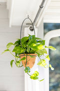 Hanging Terracotta Planter
