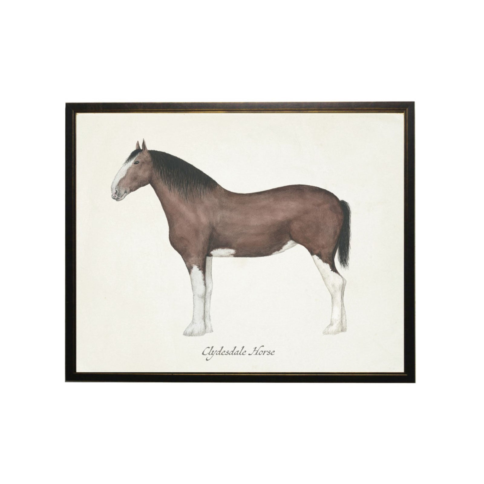 Clydesdale Horse Art