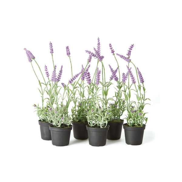 French Lavender Drop-In