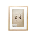 Framed Vintage Botanical XIII