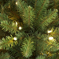 Pre-Lit Franklin Fir Tree