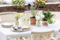 Terracotta Scalloped Edge Pot