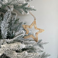Rattan Star and Tree Ornament Set