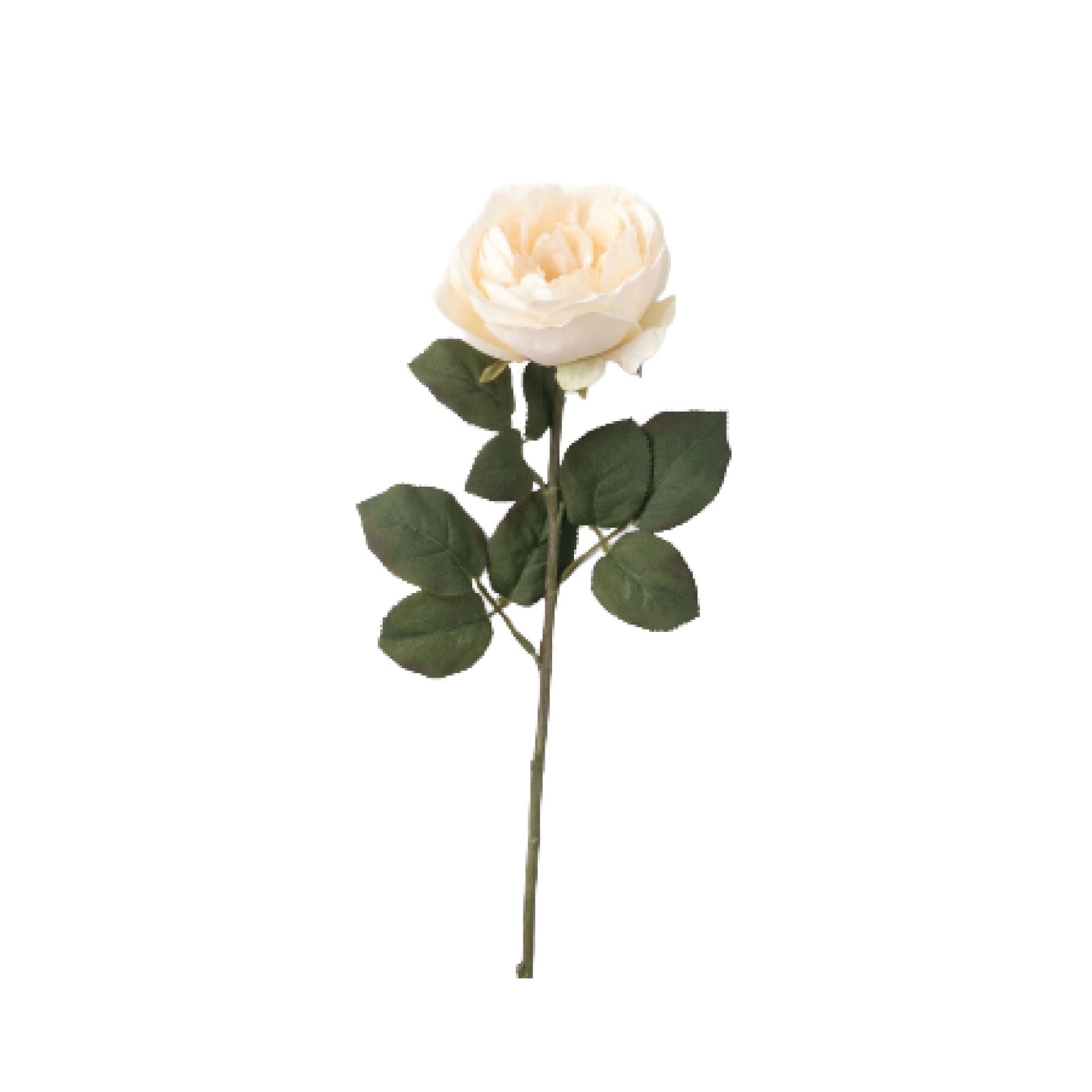 Ivory Rose Stem