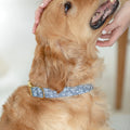 Floral Dog Collar in Chambray