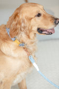 Rudy Rope Leash in Dusty Blue