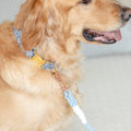 Rudy Rope Leash in Dusty Blue