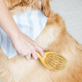 Oscar Stripe Light Blue Dog Bandana