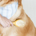 Double Sided Pet Brush