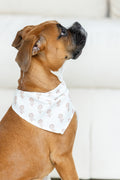 Lyla Soft Coral Dog Bandana