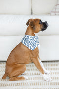 Jo Floral Navy Dog Bandana