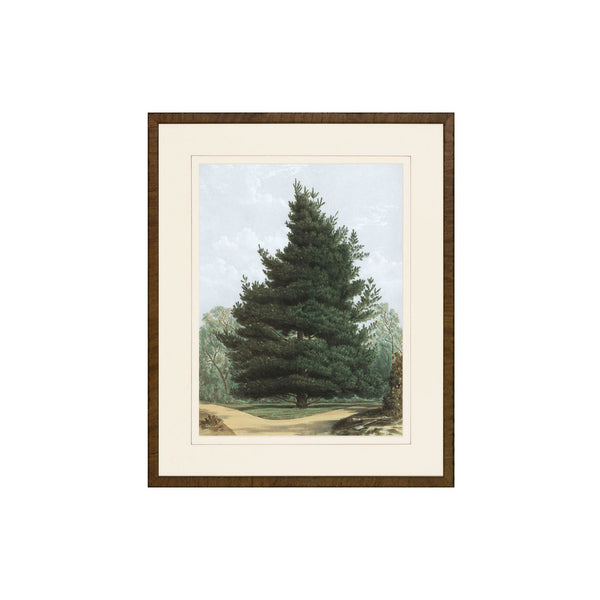 Happy Pine Print I no. 1