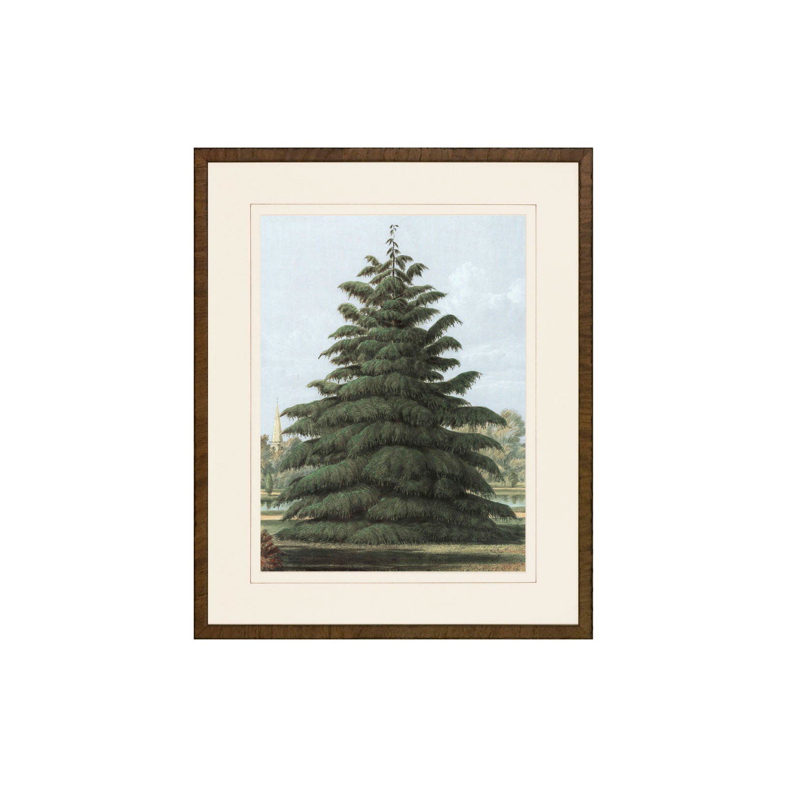 Happy Pine Print II 