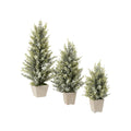 Potted Pine Berry Trees, Set of 3