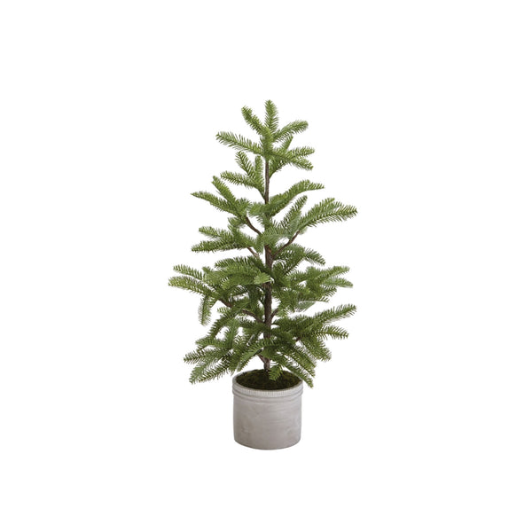 Potted Pine Tree