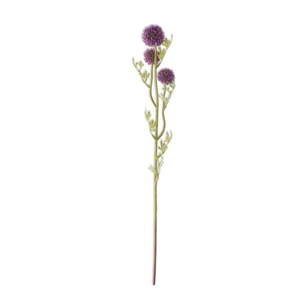 Purple Allium Stem